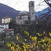 Il castello delle fate, meravigliosa visione per me bambina!