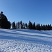 das war an diesem Nordhang etwa das Meiste was ich an Schnee gesehen habe.