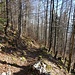 Abstieg nach Grenchen
