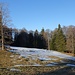 der erste Schnee