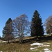auch ohne Schnee ist es schön dort