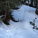 Durch den Bruggerwald zum Schutzenälpli. Der Schnee ist glashart, aber mit den Schuheisen ist das Gehen sehr angenehm