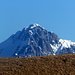 Grignetta