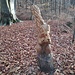 Sentiero delle sculture: lo scoiattolo