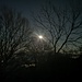 La luna (foto Daniele)