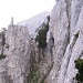 Abstiegsweg zwischen Latschen und den Felsköpfl
