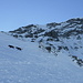 Die beiden Langbeinmolche auf Gipfelpirsch... (Foto vom 11.1.2020)