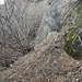 In mezzo agli arbusti alla base della placca rocciosa, seguendo evidenti tracce di animali.