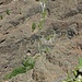 Der berühmte Wasserfall von El Greco.