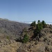 Schönes Panoram am Gipfel. Vorne rechts der Touristengipfel, den man vom Weg aus problemlos erreicht.