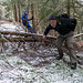 Eleganz und Wildheit: Im Schwarzwald vereint.