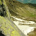 Alp d'Albion