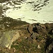 Blick auf ein Schneefeld