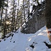 Auf dem Sommerwanderweg oberhalb P. 1412. Im dichten Wald war die Schneelage mager, aber mit Schneeschuhen ausreichend