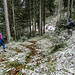 Eine alte Tradition der Natur im Schwarzwald: aufgegebene Forstwege werden von sogenanten Spontan-Bächlen einfach als Laufrinne umgenutzt und zwingen uns damit, diese rutschige Schnee-Waldgras-Wasser-Mischung vorsichtig zu umgehen.