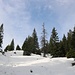 nach oben dann a bissal Schnee