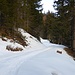 On the snow covered forest road up in the direction of Alp la Motta.