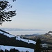 Zwanzig Minuten nach dem Start eine schöne Aussicht auf der Brustenegg. Der ZH-See unter einem Nebelmeer. Dass der Ausgangspunkt nebelfrei sein wird, konnte ich am Morgen an den auf der Chrüzegg-Webcam zu sehenden Lichtern im Tal erahnen