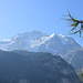 Jungfrau, Silberhorn