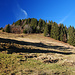 Untere Hirschalm