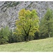 ein Hauch von Herbst