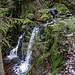 Und da ist er endlich, der Wasserfall des Muckenbächles! Nik geht natürlich sofort exträjm und checkt die Fallstufe von oben.
Der Wasserfall entstand, weil ein harter Porphyr-Riegel das kleine Tälchen absperrte.