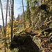 Kurzweilig leitet der Anstieg steil...