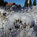 Am Kemptener Naturfreundehaus ist der Winter bereits angekommen.