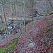 Der Gschwender Tobel wird auf einer Holzbrücke überschritten.