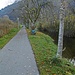 Am Badeweg geht es entspannt zurück nach Immenstadt.