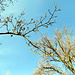 Blick in den Himmel