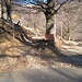 The end of the paved road at Alpe Boscone, where the last watering point is (now on seasonal out of service status).