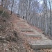 Some well engineered wooden steps appear every now and then.