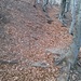 Upon descending, the dry foliage over the path may be slippery.