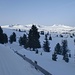 Abfahrt auf dem Winterwanderweg