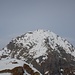 Il Tagliaferro