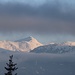 Durchblick zu den Tuxer Alpen