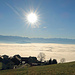 schau voll in die Sonne und es blendet dich durch das Foto hinaus, - der Nebel hält sich zäh über dem Rheintal.