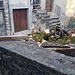 Castello e i suoi presepi