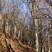 verso Ciotto San Lorenzo