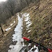 Tracce d'inverno sulla Via dei Faggi