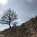 Verso la cima