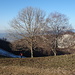 Colle dell'Albenza