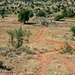 durch eine savannenartige Landschaft talein