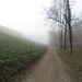 Der Nebel des Rheins verbreitet eine mystische Stimmung.