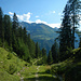 Nach der Putzenalpe geht's auf Waldwegen ins Tal.