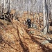 il bosco sopra Calagno. le pennellate rosse indicano il sentiero