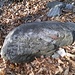 Some of the markings are badly worn. 