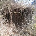 The most conspicuous remains of the Castello di Santa Sofia I could identify.