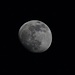 Tour vom 2.2.2020:<br /><br />Blick von der Belchenflue (1098,8m) auf fast vollen Mond. 